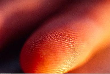 动视曾收到建议设立《使命召唤》游戏主题公园